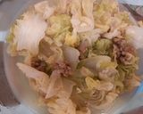 白菜燴豬肉的食譜步驟2照片