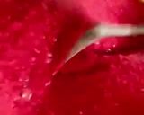 A picture of step 2 of Falsa Popsicles.