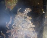 Foto del paso 3 de la receta: 10 minutos
