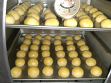 Nastar lumer