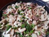 Spezzatino con salsa Alfredo ☘️