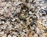 Házi granola recept fázis 2 fotója