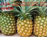 Hình bước làm 6 của món Khóm (dứa) xào chay
