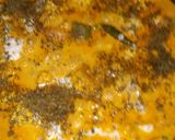 A picture of step 4 of TOFU ki Sabji.