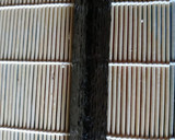 Foto del paso 6 de la receta: Hosomaki