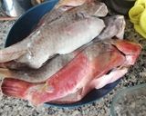 Foto del paso 1 de la receta: Viejas (Pez Loro) en Papillote