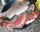 Foto del paso 1 de la receta: Viejas (Pez Loro) en Papillote