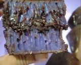Foto langkah ke 11 dari resep Martabak Manis/Terang Bulan Taro.