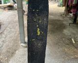 รูปขั้นตอนการทำที่ 2 ของ คั่วมะลิดไม้ (เพกา) สูตรเหนือ
