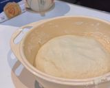Foto del paso 3 de la receta: Pan Lactal en Molde Grande