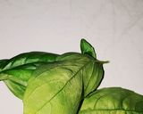 Foto del paso 2 de la receta: Cuadril Con Arroz