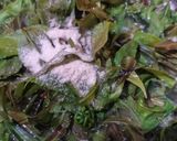 Foto langkah ke 3 dari resep Sayur Bening Kelakai.