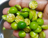 சுண்டைக்காய் காரக்குழம்பு ரெசிபி ஸ்டேப் 1 புகைப்படம்