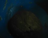 Foto del paso 2 de la receta Catalinas