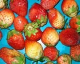 A picture of step 1 of #स्ट्राॅबेरीजूस Strawberry 🍓 juice.