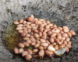 A picture of step 2 of POHA Kanda/Aloo Lockdown recipe (Tea Time Snack).