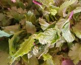 पुदीना धनिया चटनी (Pudina dhaniya chutney recipe in hindi) रेसिपी चरण 1 फोटो