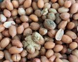 બાફેલી મસાલા શીંગ (Bafeli Masala Shing Recipe In Gujarati) રેસીપી સ્ટેપ2ફોટો