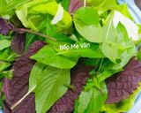 A picture of step 1 of 💐Vegetarian Fresh Spring Rolls (Gỏi Cuốn Chay)💐.