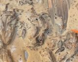 A picture of step 2 of Sizzling Steak Platter with Creamy Maitake Mushrooms (Bò Né Sốt Nấm).