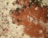A picture of step 2 of Pakory.