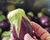 صورة لخطوة 1 من وصفة المكدوس السوري🍆