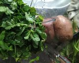 A picture of step 2 of Coriander ki chutney.