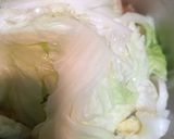 高麗菜燉煮豆皮的食譜步驟4照片
