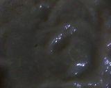 A picture of step 1 of Cauliflower in Lauki Gravy.