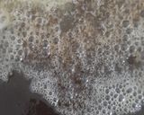 صورة لخطوة 3 من وصفة بغرير طايب في زيت زيتون
