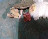 Foto langkah ke 2 dari resep Kerang Dara Saus Asam Manis.