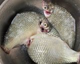 Hình bước làm 1 của món Cá He Kho Rệu