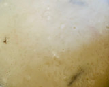Foto del paso 4 de la receta: 🌾 ARROZ🍚 CON 🍶LECHE🥛 AL CARAMELO