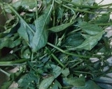 மணத்தக்காளி கீரை துவரம் பருப்பு கூட்டு ரெசிபி ஸ்டேப் 1 புகைப்படம்