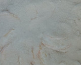 Foto del paso 3 de la receta: Torta invertida de manzanas económica