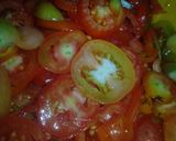 Saucematakin girki1 hoto