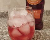 Foto del paso 2 de la receta: Aperitivo Martini Fiero