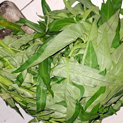 Langkah 1