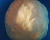 Foto langkah ke 2 dari resep Roti Sosis Empuk dan Enak😋.