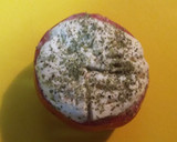 Foto del paso 5 de la receta: Tomate gratinado