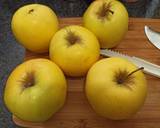 Apple Soup recipe step 1 photo
