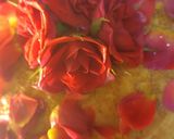 Une image de l'étape 2 de Mille-crêpe fraise rose rouge.