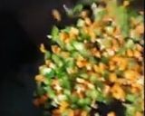 A picture of step 2 of Italian Starter Bruschetta.