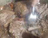 Foto del paso 5 de la receta: Lomo desmenuzado al vino🍷