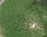 Foto langkah ke 3 dari resep Puding Pandan Lumut Tiramisu.