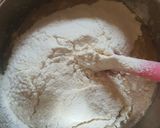 Foto langkah ke 3 dari resep Oliebollen (Dutch Doughnut).