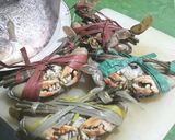 Foto langkah ke 7 dari resep Kare Rajungan / Kepiting khas Tuban.