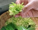 Foto langkah ke 1 dari resep Tumis Kembang Kates (Bunga Pepaya).