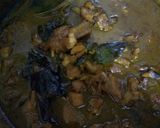 Foto langkah ke 4 dari resep Mie ayam rumahan (extra simple).