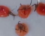 Foto del paso 4 de la receta: Cherrys con zapallo